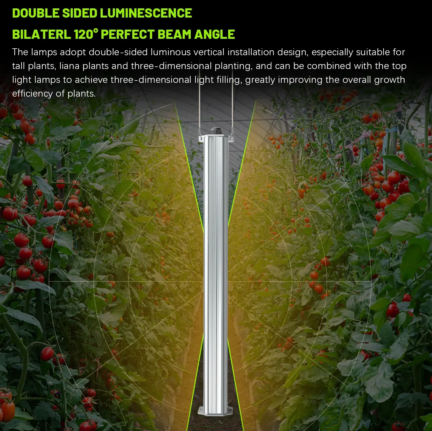 Agriculture Tomato Farming - En İyi ETL Onaylı Bitki Yeşil