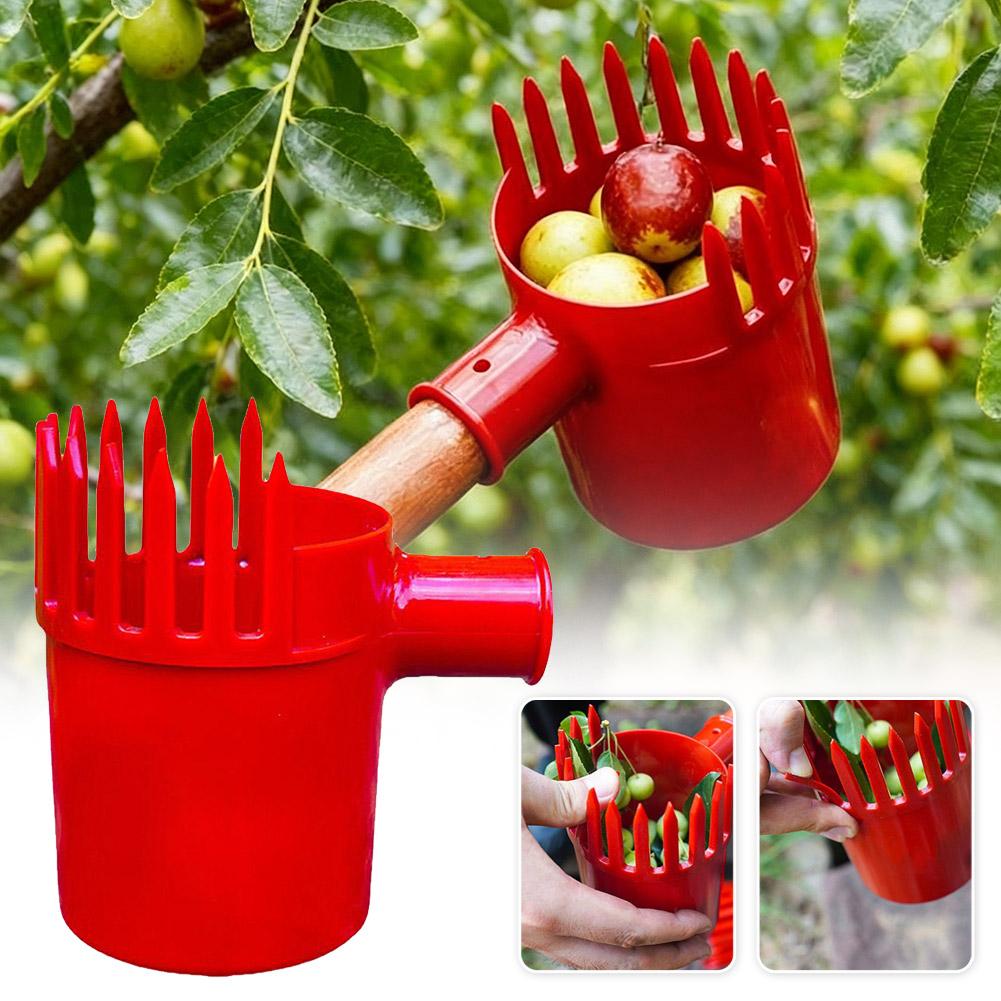 Agriculture Tomato Farming - 1 adet Küçük Meyve Toplayıcı Taşınabilir