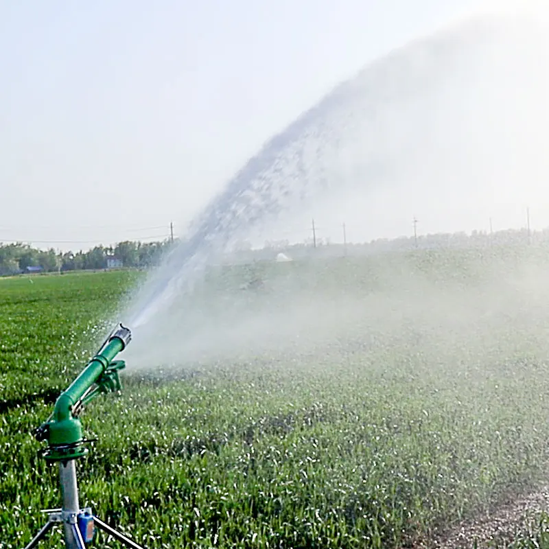 Organic Farming Of Agriculture - Tarımsal Mısır Çiftliği Yağmurlama Sistemi 360