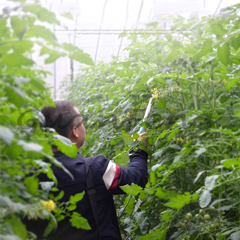 220V‑50Hz 6A Elektrikli Titreş - Agriculture Tomato Farming incelemesi ve fiyatı