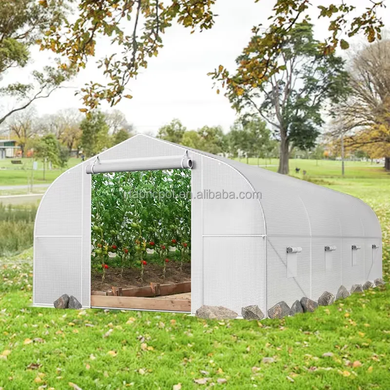 Tarımsal Çiftlik Poli Tünel Se - Agriculture Tomato Farming incelemesi ve fiyatı