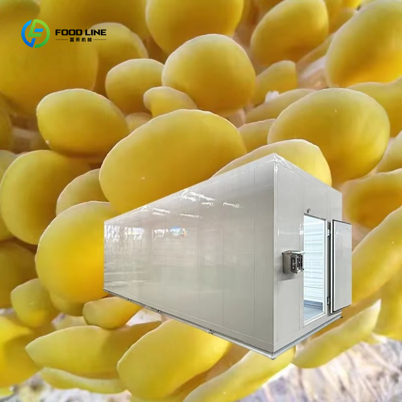 Akıllı Mantar Yetiştirme Kapsü - Agriculture Farming Technology incelemesi ve fiyatı