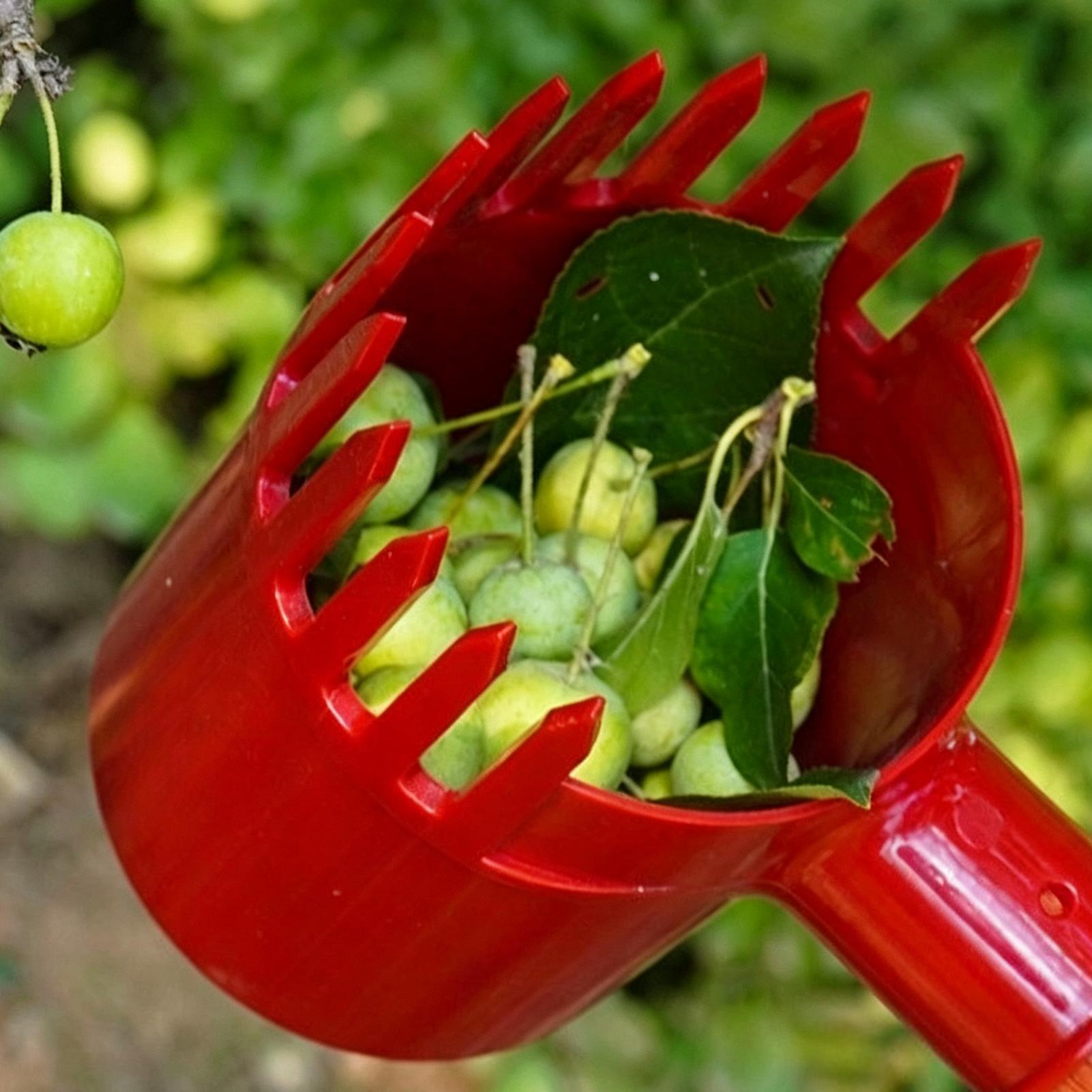 Meyve Toplayıcı Taşınabilir Ha - Agriculture Tomato Farming incelemesi ve fiyatı