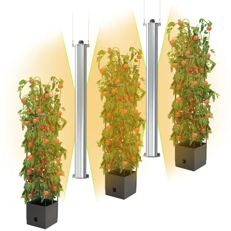En İyi ETL Onaylı Bitki Yeşil  - Agriculture Tomato Farming incelemesi ve fiyatı