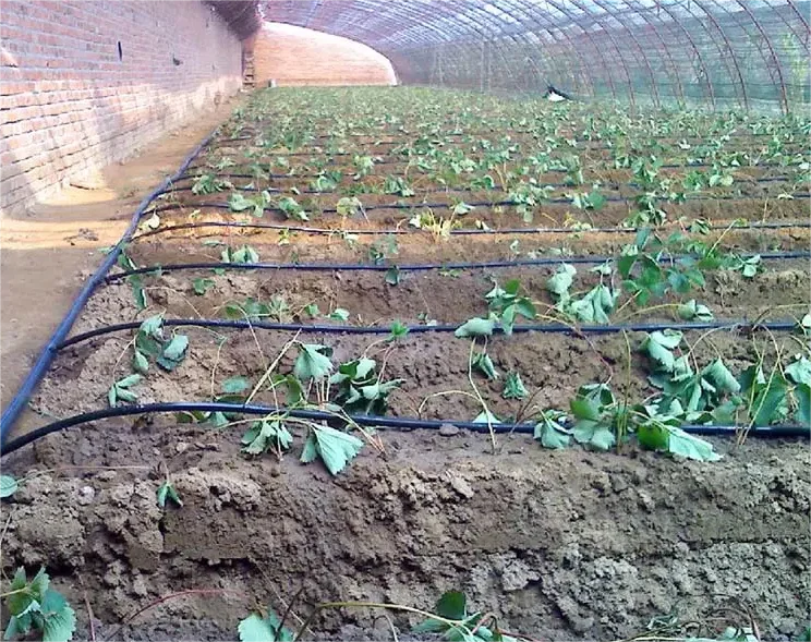 1HA Sulama Kiti Tarım Aracı 20 - Agriculture Farming Kit incelemesi ve fiyatı