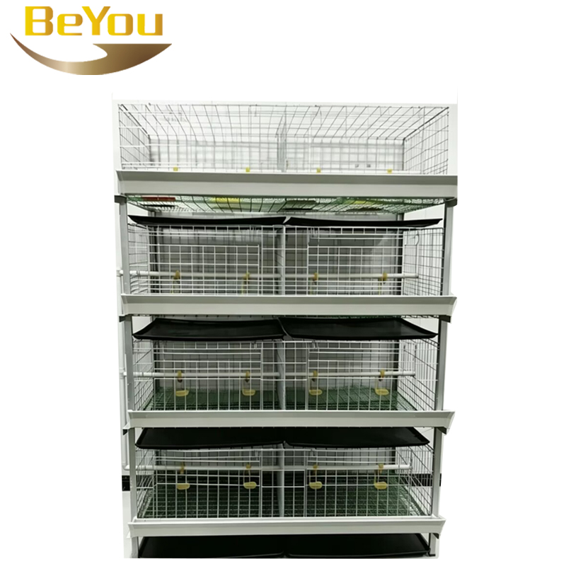 Yeni H Tipi Broiler Tavuk Kafe - Farming System & Sustainable Agriculture incelemesi ve fiyatı